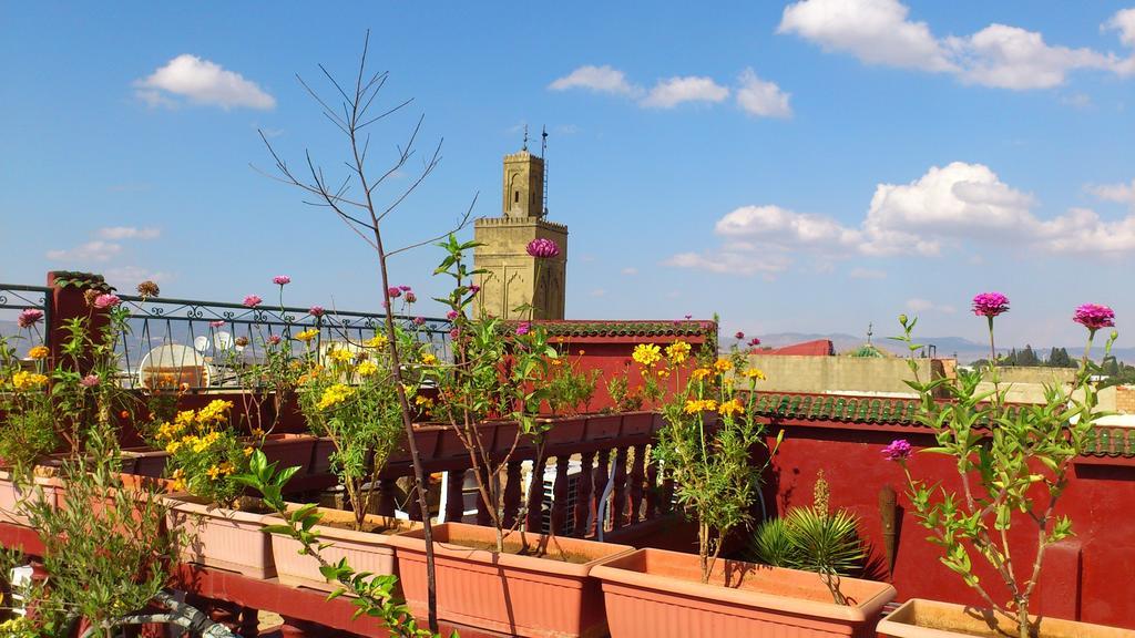 Ryad Bab Berdaine Μεκνές Εξωτερικό φωτογραφία
